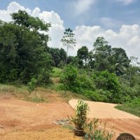 LAND FOR SALE/LEASE AT GALPATHA - KALUTARA 