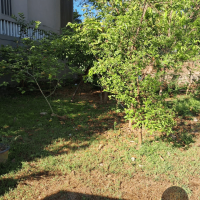 LAND FOR SALE – RAJAGIRIYA 