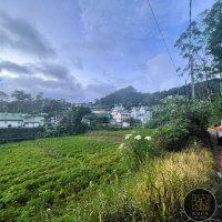  UPCOUNTRY LAND FOR SALE IN KEENA ROAD – N ELIYA    