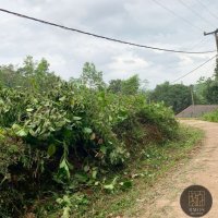 LAND FOR SALE AT LINROSE WATTA- KALUTARA